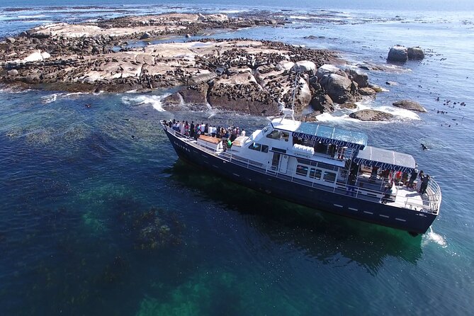 Cape of Good Hope & Penguins From Cape Town Full-Day Private Tour - Reviews