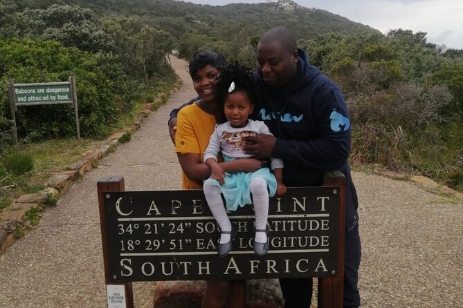 Cape of Good Hope & Penguins From Cape Town Full-Day Private Tour - Price