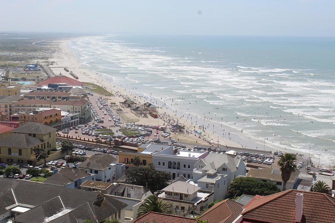 Cape of Good Hope Penguins From Cape Town Private Price/Group Up To 12Pax F/D - Pickup Points