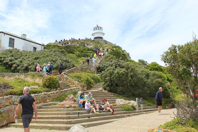 Cape of Good Hope Penguins From Cape Town Private Price/Group Up To 12Pax F/D - Pickup Details