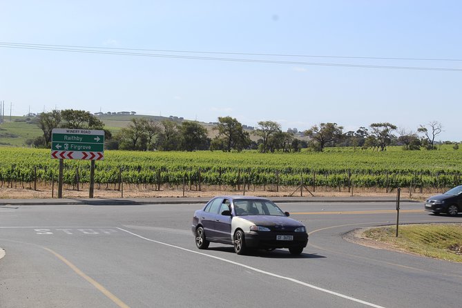 Cape of Good Hope Penguins From Cape Town Private Price/Group Up To 12Pax F/D - Reviews