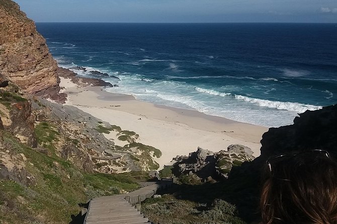 Cape of Good Hope Penguins From Cape Town Private Price/Group Up To 12Pax F/D - Other Information