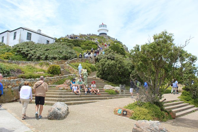 Cape of Good Hope, Penguins Private Tour From Cape Town Full Day - Pricing and Booking Details