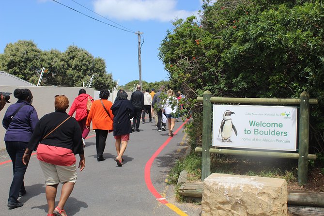 Cape of Good Hope, Penguins Private Tour From Cape Town Full Day - Scenic Driving Routes