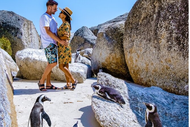 Cape of Good Hope & Penguins Small Group Tour From Cape Town - Tour Details and Highlights