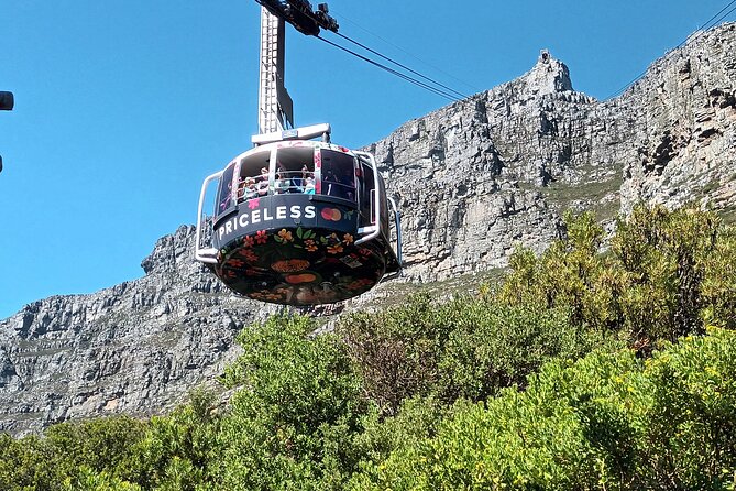 Cape of Good Hope, Table Mountain & Penguins Tour All Tickets - Traveler Experience