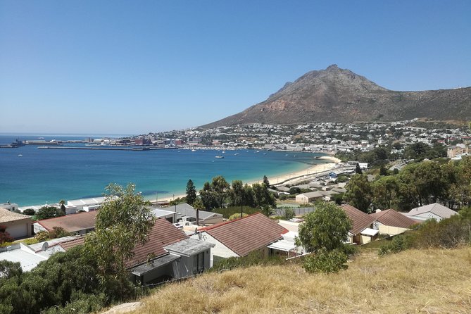 Cape of Good Hope Tour Full Day /Half Day - Tour Options Available