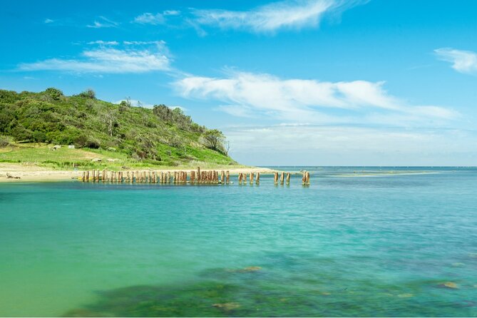 Cape of Rodon Full-Day Private Tour From Tirana - Tour Details