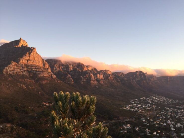 Cape Peninsula and Penguin Colony Full Day Shared Tour - Good To Know