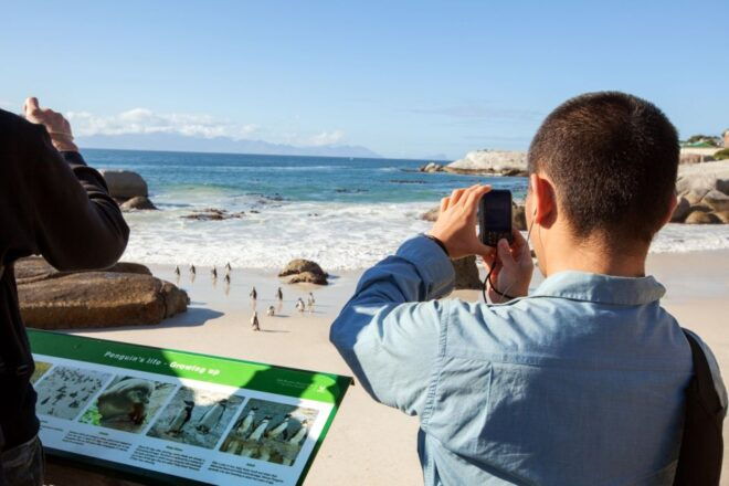 Cape Peninsula and Penguin Colony Full Day Shared Tour - Frequently Asked Questions