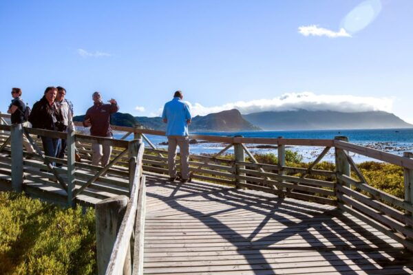 Cape Peninsula and Penguin Colony Full Day Shared Tour - The Sum Up