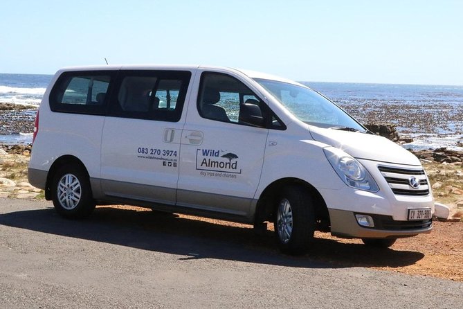 Cape Peninsula - Custom-made Private Day Tour ( Max of 3 Persons) - Tour Overview