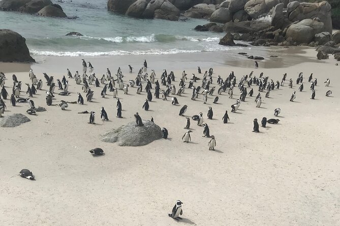 Cape Peninsula Cycle Tour - Tour Inclusions