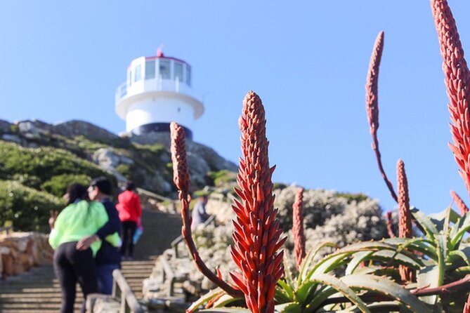 Cape Peninsula Day Tour - Inclusions