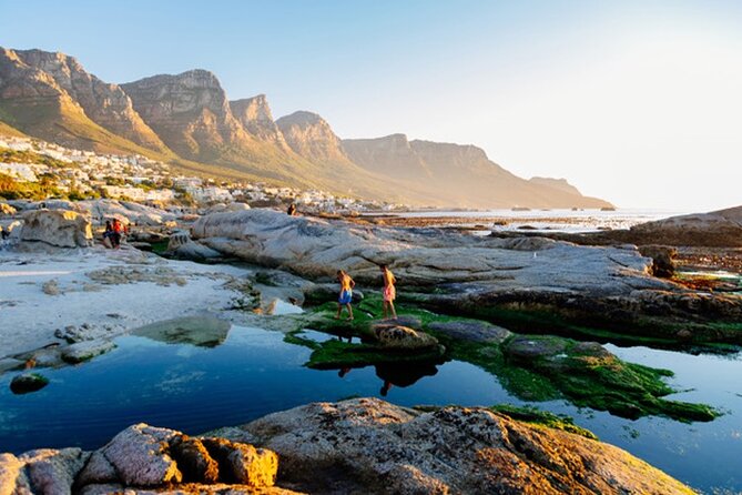 Cape Peninsula Day Tour - Booking Information