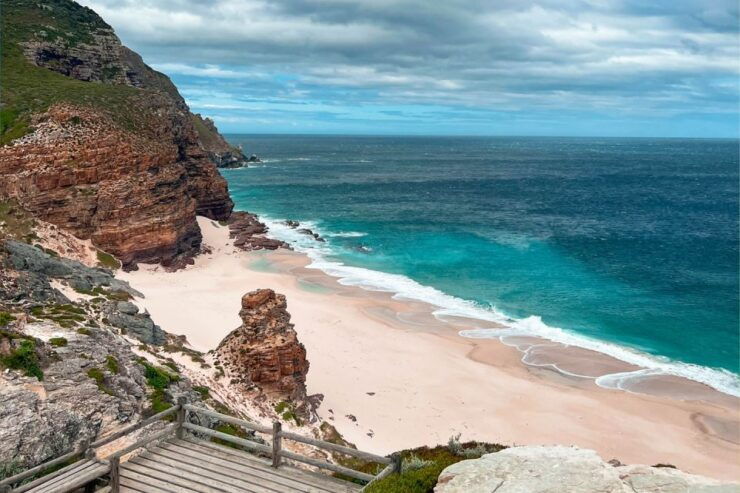 Cape Peninsula Day Tour: Seals, Penguins & Cape of Good Hope - Tour Details