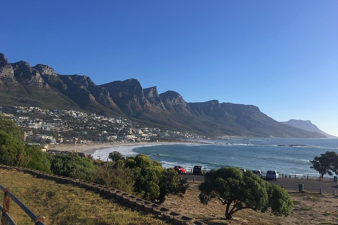 Cape Peninsula E-bike Cycle and Shuttle Combo Private Tour - Questions and Customer Support