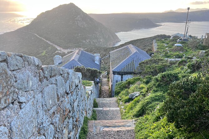 Cape Peninsula Full Day Private Experience - Booking Information