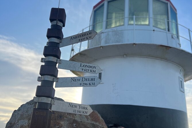 Cape Peninsula Full Day Private Experience - Reviews