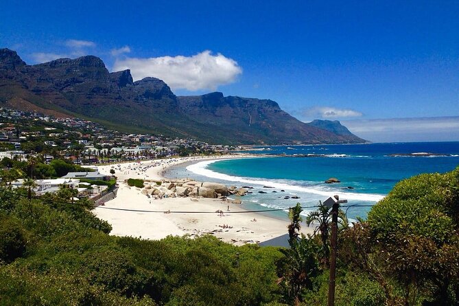 Cape Peninsula Full Day Tour - Meeting and Pickup Details