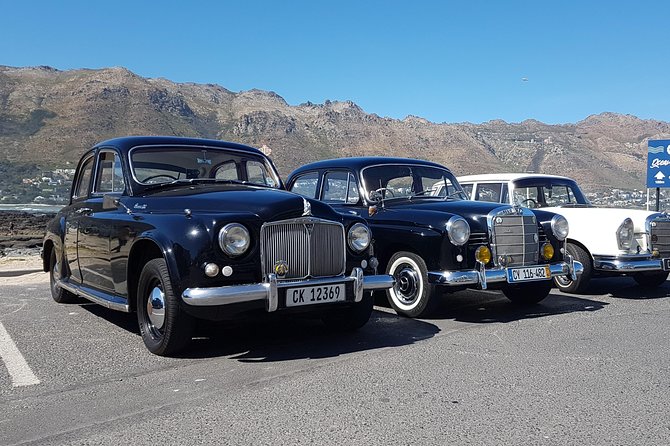 Cape Peninsula in a Vintage Car (Penguins, Cape Point & Chapmans Peak Drive) - Vintage Car Tour Highlights