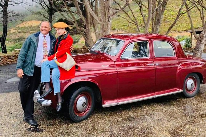 Cape Peninsula in a Vintage Car (Penguins, Cape Point & Chapmans Peak Drive) - Exploring Cape Point Nature Reserve
