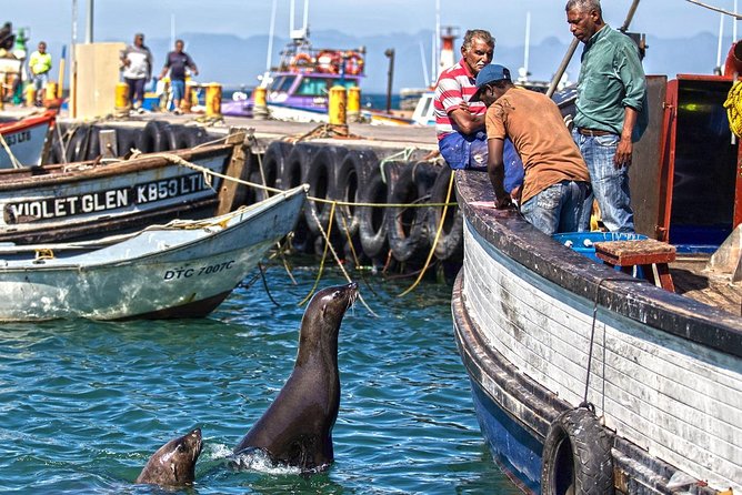 Cape Peninsula in a Vintage Car (Penguins, Cape Point & Chapmans Peak Drive) - Unforgettable Stops and Sights