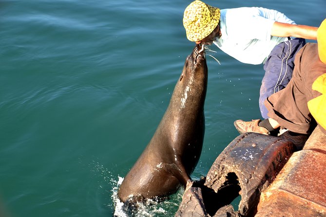 Cape Peninsula Private Tour - Traveler Photos and Reviews