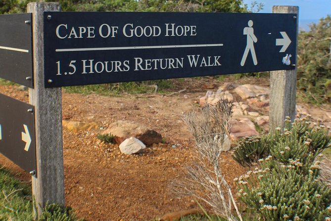 Cape Peninsula Private Tour - Explore the Cape Peninsula