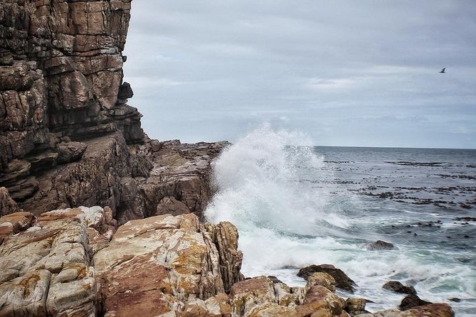 Cape Peninsula Private Tour - Capture Epic Shots