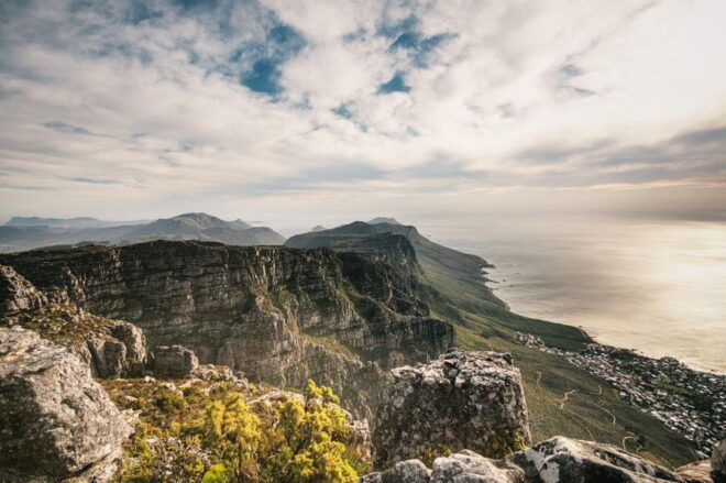 Cape Peninsula Shared Half-Day Tour - Customer Reviews