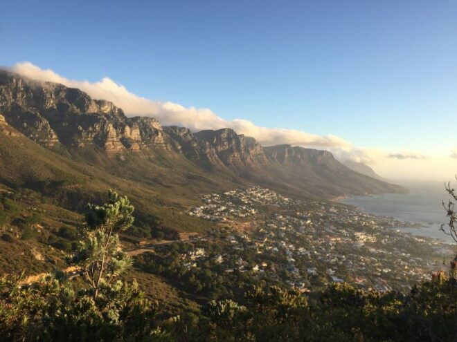 Cape Peninsula Shared Half-Day Tour - Testimonials