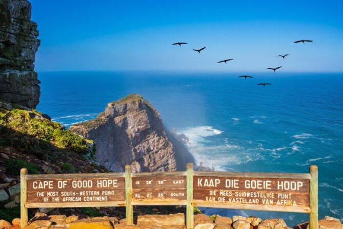 Cape Peninsula Tours - Overview of Cape Peninsula Tours