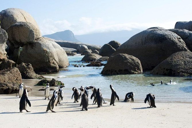 Cape Peninsula Tours - Customer Support and Information for Cape Peninsula Tours