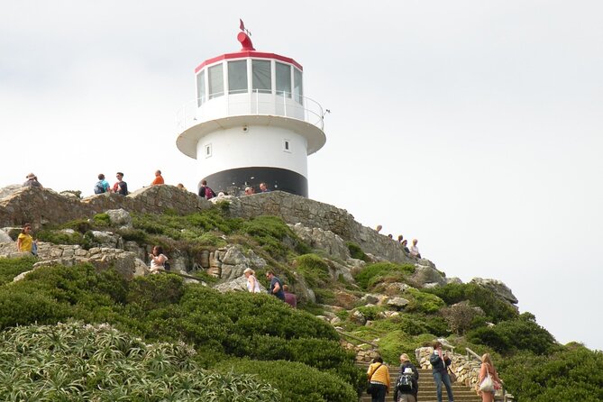 Cape Peninsula Tours - Terms and Conditions for Cape Peninsula Tours