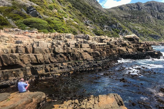 Cape Peninsula With a Marine Biologist - Guided by a Marine Biologist