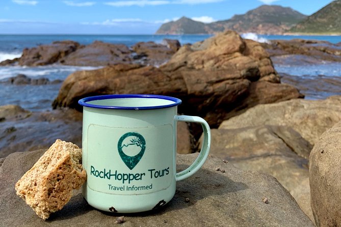 Cape Peninsula With a Marine Biologist - Inclusions and Services Provided