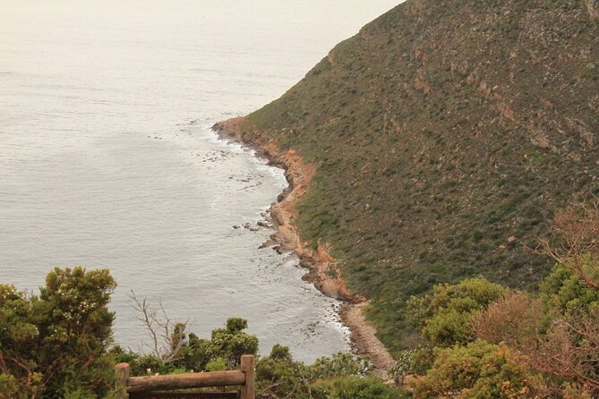 Cape Point and Cape of Good Hope Day Tour up to 10 Persons - Additional Information