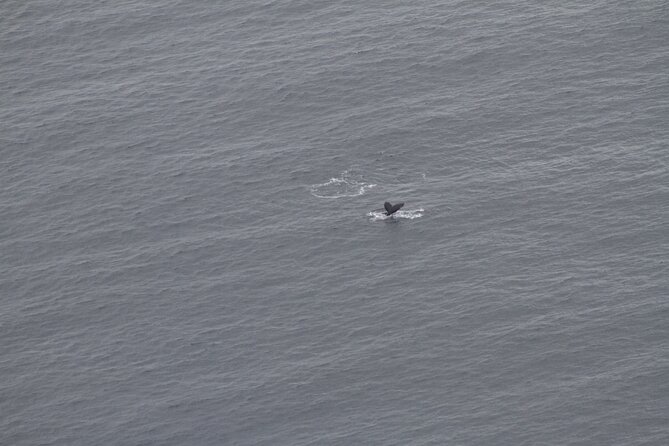 Cape Point and Cape of Good Hope Day Tour up to 10 Persons - Common Questions