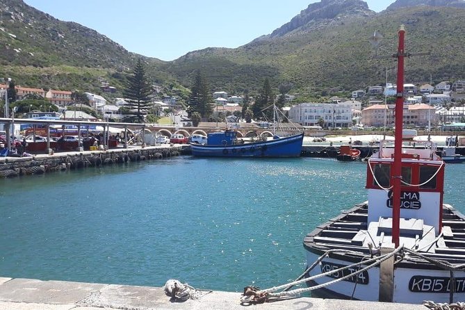 Cape Point, Boulders Beach in Private Car - Positive Feedback