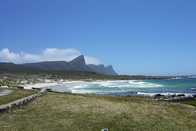 Cape Point, Boulders Beach in Private Car - Pricing Information