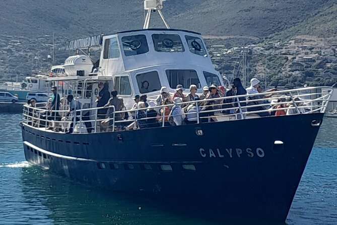 Cape Point Cape Of Good Hope And Penguins Private Tour - Booking Details