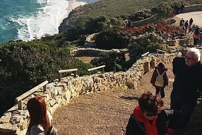 Cape Point Chapmans Peak Drive Penguins Full Day Tour Wine Tasting - Pricing and Payment Details