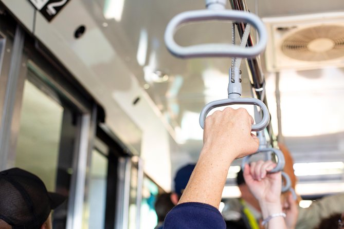 Cape Point Flying Dutchman Funicular Return Ticket - Overview of the Experience