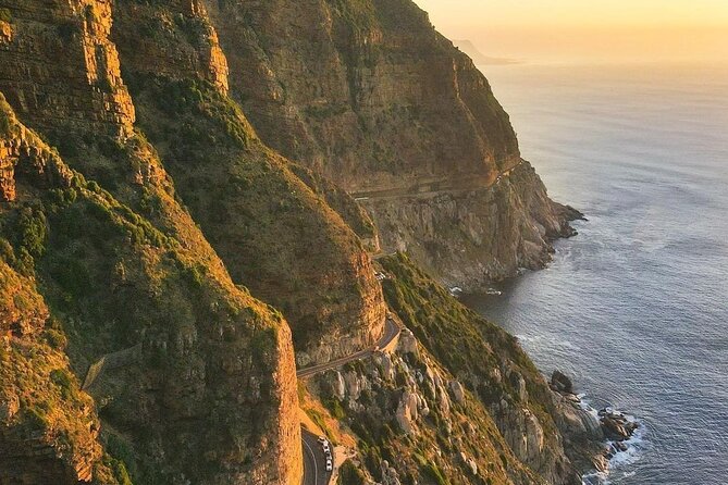 Cape Point Full Day Tour - Tour Highlights