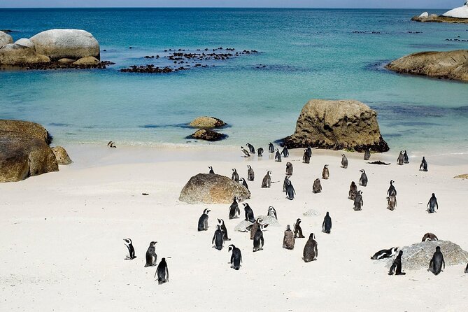 Cape Point Full Day Tour - Tour Inclusions