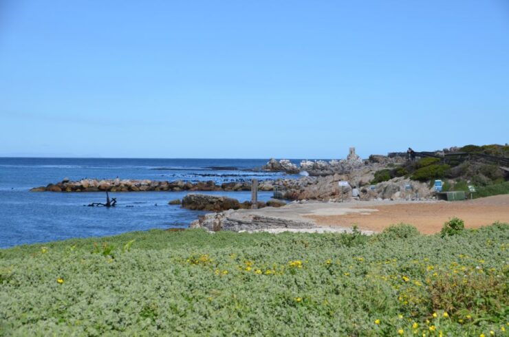 Cape Point Full-Day Tour From Cape Town - Good To Know