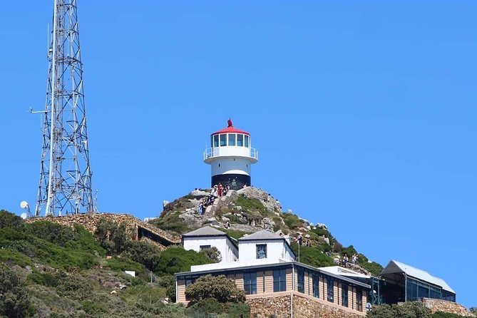 Cape Point & Penguin Explorer Tour - Tour Highlights