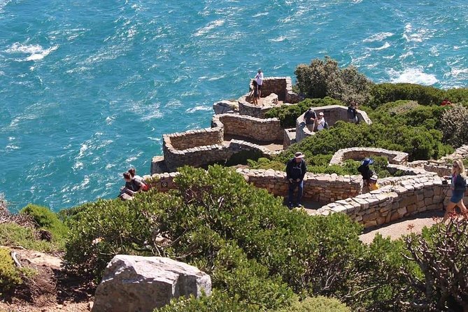 Cape Point & Penguin Explorer Tour - Booking and Assistance