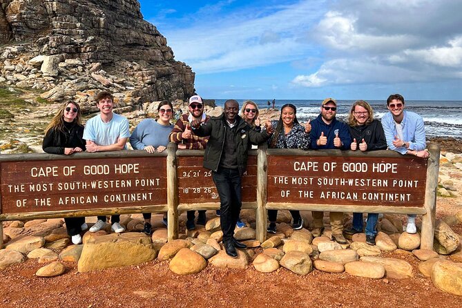 Cape Point, Penguins & Wine Tasting In Constantia Full Day Tour - Penguin Colony Experience